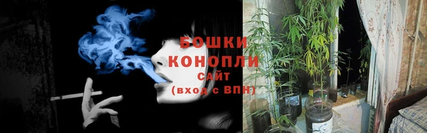 соль ск Переславль-Залесский