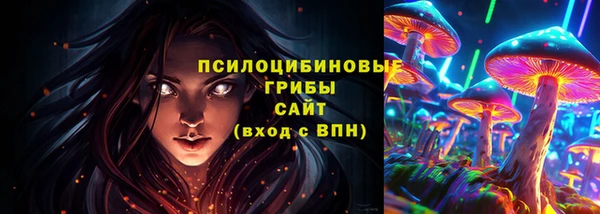 2c-b Абдулино