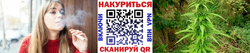 Шишки марихуана сатива Фатеж